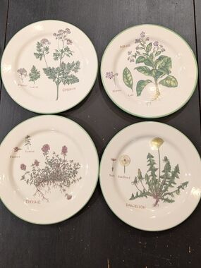 4 Williams Sonoma Culinary Herbs Ceramic Plates: Thyme Borage Chervil Dandelion